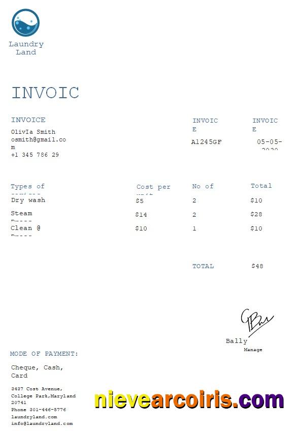 Free Laundry Invoice